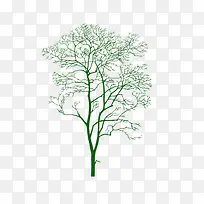 树木-空若网 树木-空若网