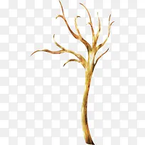 树枝-空若网 树枝-空若网