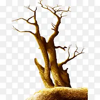 ��-������