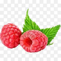 ��ݮ-������