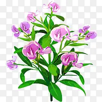 ����-������