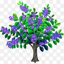 花树-空若网 花树-空若网