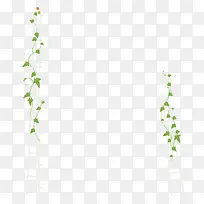 飘浮绿叶-空若网 飘浮绿叶-空若网