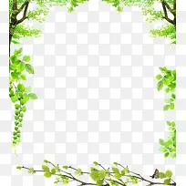 绿叶-空若网 绿叶-空若网