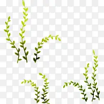 ˮ������-������