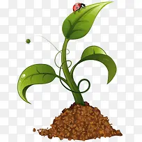 ÍÁÈÀÊ÷ÃçÂÌÒ¶À¥³æ-¿ÕÈôÍø ÍÁÈÀÊ÷ÃçÂÌÒ¶À¥³æ-¿ÕÈôÍø