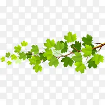 向左伸展的树枝和绿叶-空若网 向左伸展的树枝和绿叶-空若网