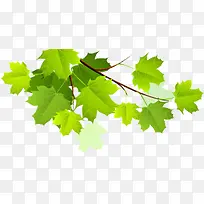 向右伸展的树枝和绿叶-空若网 向右伸展的树枝和绿叶-空若网