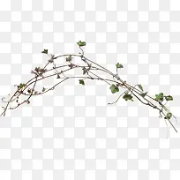 树枝绿叶紫色小花-空若网 树枝绿叶紫色小花-空若网