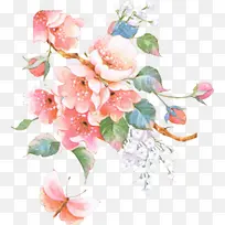 �ʻ滨����Ҷ��֦-������