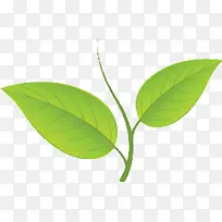 卡通绿叶树枝 素材-空若网 卡通绿叶树枝 素材-空若网