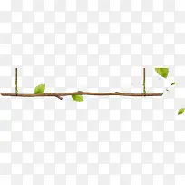 树枝挂饰 绿叶点缀 png素材-空若网 树枝挂饰 绿叶点缀 png素材-空若网