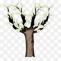 ����Ҷ��ͨ��-������