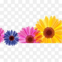 ��ͨ�ֻ�̫����-������