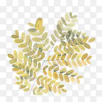 �ֻ�廭-������