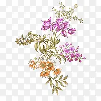 花朵插画-空若网 花朵插画-空若网