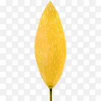 黄色卡通插画树叶-空若网 黄色卡通插画树叶-空若网