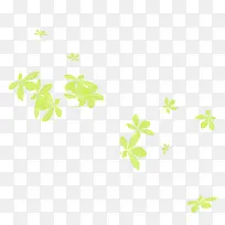 橙色小花朵花瓣-空若网 橙色小花朵花瓣-空若网