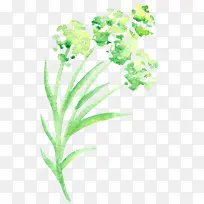 ��ɫˮ�ʼ�Լ����-������