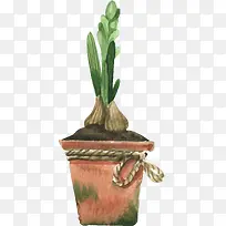 ˮ��ʸ����ɫˮ��-������