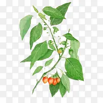 ÊÖ»æË®²ÊèÛè½-¿ÕÈôÍø ÊÖ»æË®²ÊèÛè½-¿ÕÈôÍø