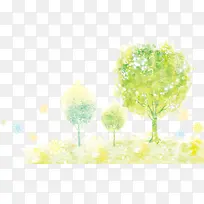 小树-空若网 小树-空若网