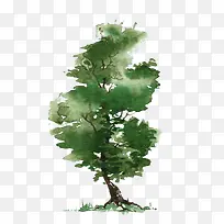 树-空若网 树-空若网