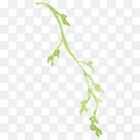 ��ɫ֦��-������