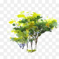 手绘绿色植物水彩主页-空若网 手绘绿色植物水彩主页-空若网