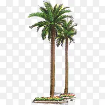 �ֻ�ˮ����ɫҬ��-������