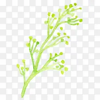 ��ɫ֦��ˮ��-������