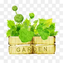 ˮ���ֻ���ɫֲ��-������