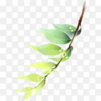 水彩绿色叶子植物叶子-空若网 水彩绿色叶子植物叶子-空若网