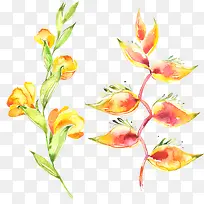 Ë®²Ê»¨»ÜÂÌɫҶ×Ó-¿ÕÈôÍø Ë®²Ê»¨»ÜÂÌɫҶ×Ó-¿ÕÈôÍø