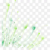 ��ɫ�ֻ�ˮ��ֲ��-������