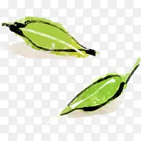 ��ɫˮ����Ҷ����-������