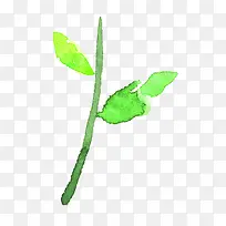 ÂÌɫˮ²ÊÒÕÊõÖ²Îï-¿ÕÈôÍø ÂÌɫˮ²ÊÒÕÊõÖ²Îï-¿ÕÈôÍø