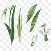 ˮ��ʸ����ɫˮ��-������