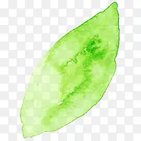 ����ϳ���ɫ��ˮ���߲���Ҷ-������