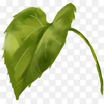 合成水彩绿色的树叶-空若网 合成水彩绿色的树叶-空若网