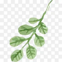 水彩合成绿色的树枝效果-空若网 水彩合成绿色的树枝效果-空若网