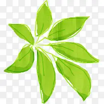 水彩合成绿色的树叶-空若网 水彩合成绿色的树叶-空若网