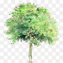 手绘绿色水彩植物小花-空若网 手绘绿色水彩植物小花-空若网