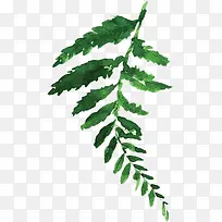 �ֻ�ˮ����ɫֲ��װ��-������