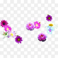 �ɰ�ʢ��������-������