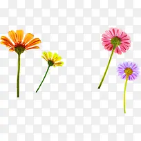 彩色卡通可爱花朵-空若网 彩色卡通可爱花朵-空若网