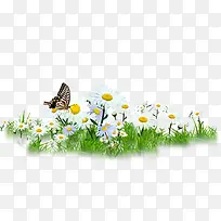 可爱户外蝴蝶花朵-空若网 可爱户外蝴蝶花朵-空若网