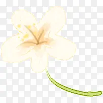 可爱唯美花朵植物-空若网 可爱唯美花朵植物-空若网