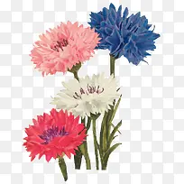 �ֻ��ɫ����ɰ�-������