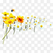 �ư׿�ͨ�ɰ�����-������